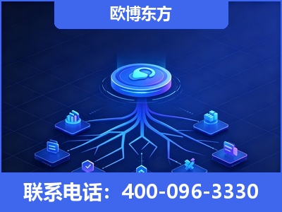 儋州-全链豆包优化